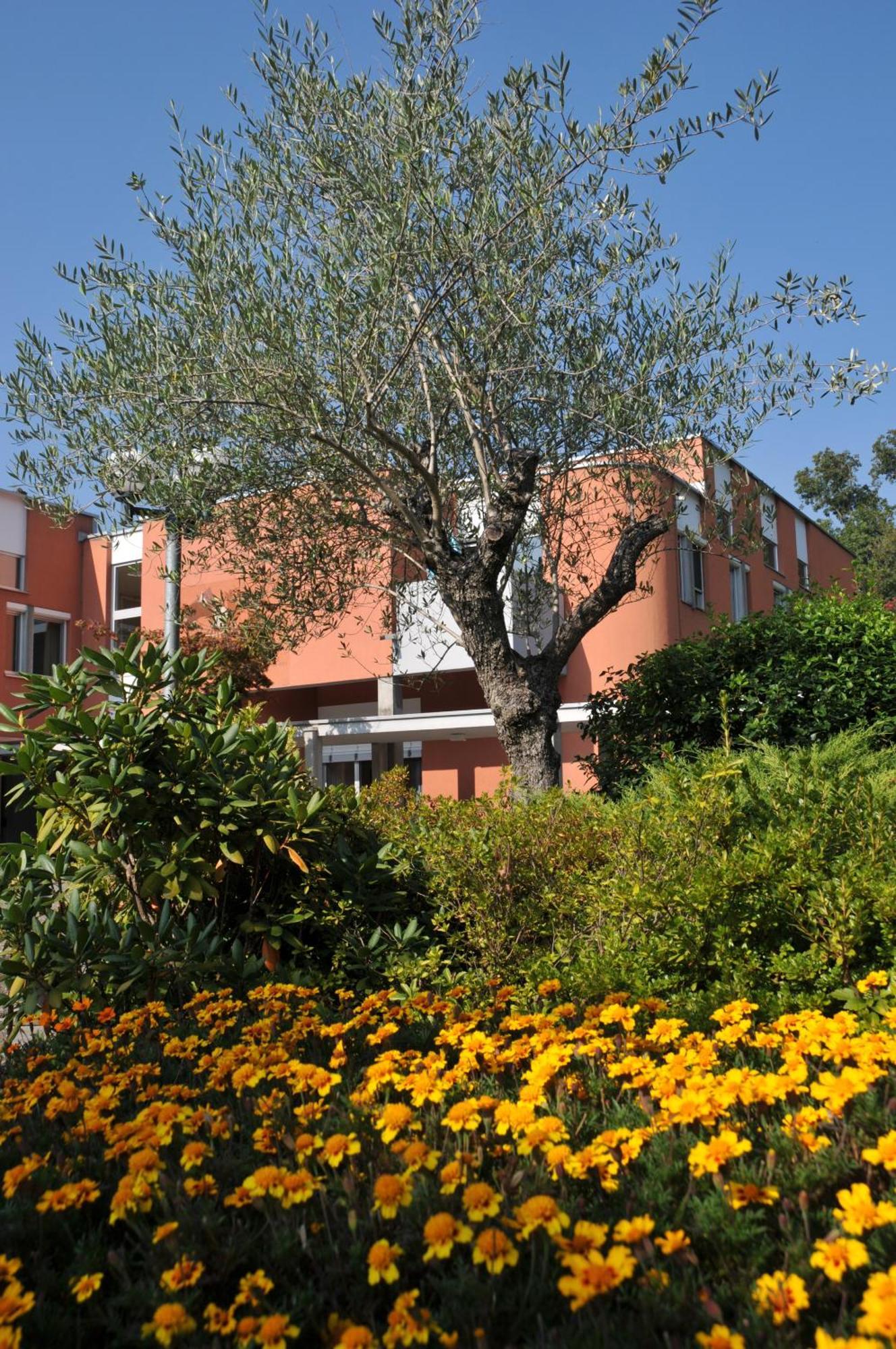 Centro Magliaso Hotel Exterior photo